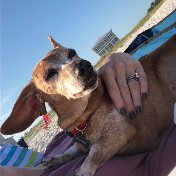 Meet your Posher, Heather - Picture 1 of 1